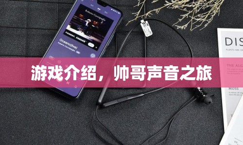 帥哥聲音之旅，一場聽覺盛宴的冒險之旅