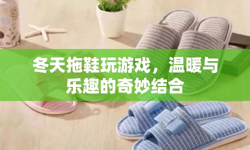 冬日游戲新體驗(yàn)，拖鞋中的溫暖與樂趣