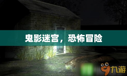 鬼影迷宮，恐怖冒險(xiǎn)之旅