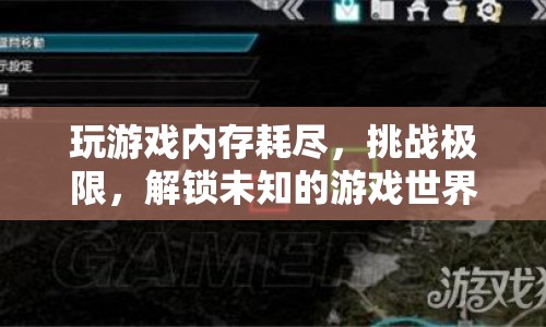 挑戰(zhàn)極限，解鎖未知，游戲世界中的內(nèi)存耗盡之旅