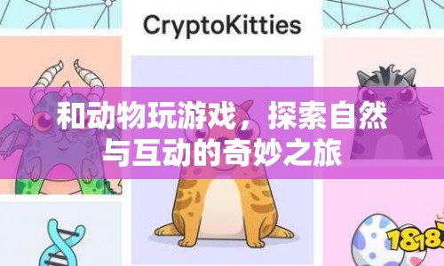 與動(dòng)物共舞，探索自然與互動(dòng)的奇妙之旅