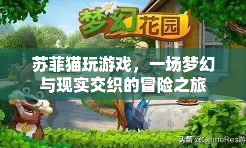 夢(mèng)幻交織，蘇菲貓的游戲冒險(xiǎn)之旅