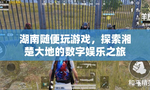 探索湘楚大地的數(shù)字娛樂之旅，湖南隨便玩游戲