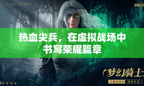 熱血尖兵，虛擬戰(zhàn)場上的榮耀篇章