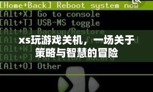 一場策略與智慧的冒險(xiǎn)，XS游戲關(guān)機(jī)之旅