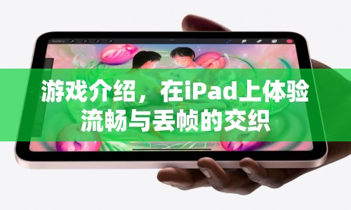 iPad游戲，流暢與丟幀的交織體驗(yàn)
