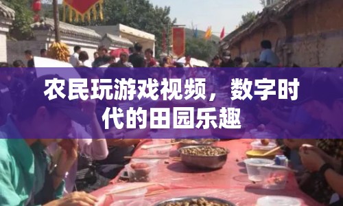 數(shù)字時(shí)代的田園樂(lè)趣，農(nóng)民玩游戲視頻