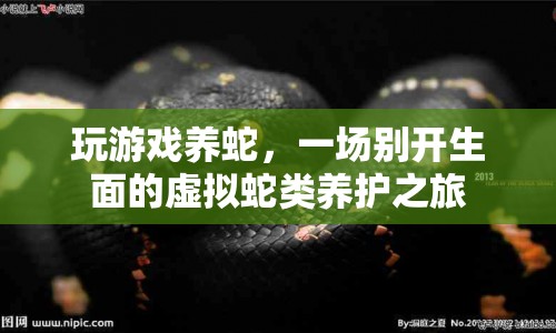 虛擬蛇類養(yǎng)護(hù)之旅，玩游戲養(yǎng)蛇