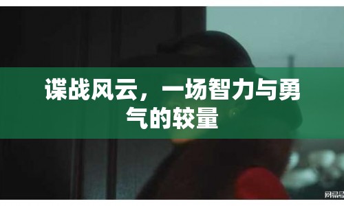 諜戰(zhàn)風(fēng)云，智力與勇氣的巔峰較量