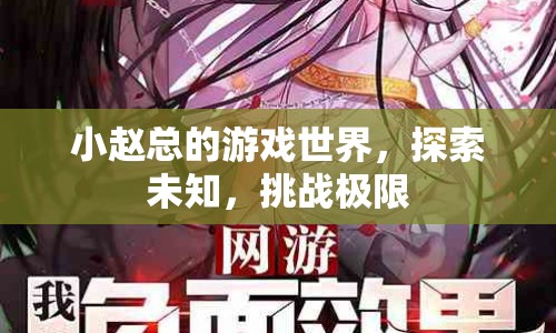 小趙總的游戲世界，探索未知，挑戰(zhàn)極限