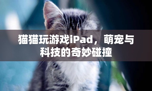 萌寵與科技的奇妙碰撞，貓咪玩轉iPad
