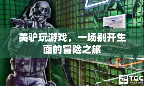 美驢玩游戲，開啟一場別開生面的冒險之旅