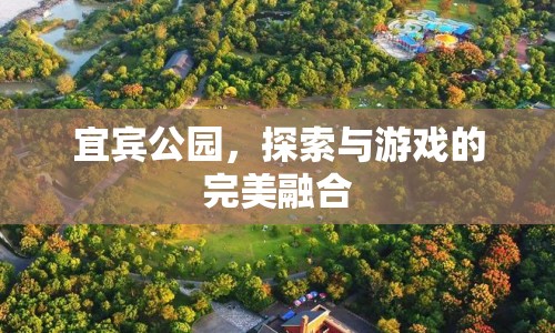 宜賓公園，探索與游戲的完美融合之地