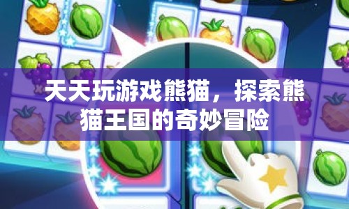 探索熊貓王國(guó)的奇妙冒險(xiǎn)，天天玩游戲熊貓