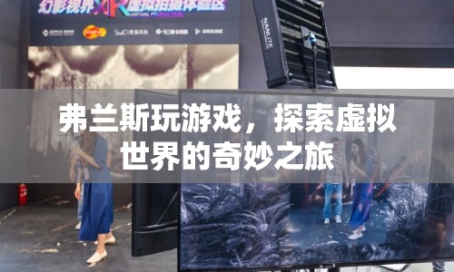 弗蘭斯，探索虛擬世界的奇妙之旅