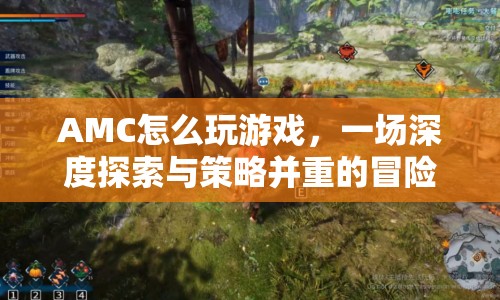 AMC，深度探索與策略并重的冒險(xiǎn)之旅