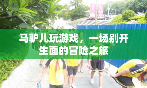 馬驢兒冒險(xiǎn)記，一場別開生面的游戲之旅