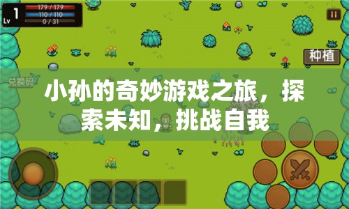 小孫的奇妙冒險，探索未知，挑戰(zhàn)自我之旅
