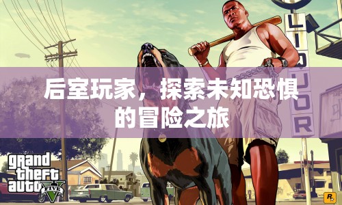 后室玩家，探索未知恐懼的冒險(xiǎn)之旅  第1張