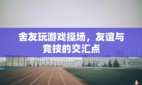 操場(chǎng)上的游戲，友誼與競(jìng)技的交匯點(diǎn)