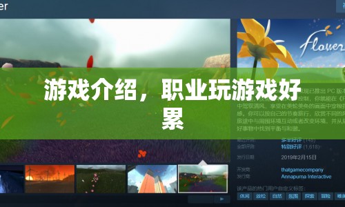 游戲介紹，揭秘職業(yè)玩家的艱辛之路