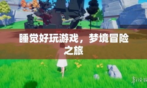 夢(mèng)境冒險(xiǎn)，睡覺(jué)也能玩游戲