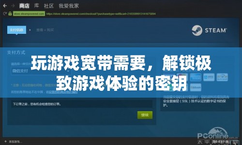 解鎖極致游戲體驗(yàn)，揭秘游戲?qū)拵枨? class=
