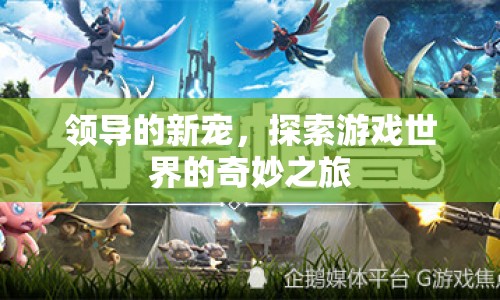 探索游戲世界的奇妙之旅，領(lǐng)導(dǎo)的新寵