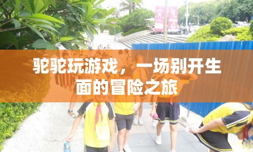 駝駝玩游戲，開(kāi)啟一場(chǎng)別開(kāi)生面的冒險(xiǎn)之旅