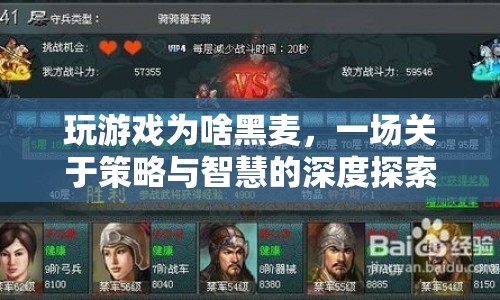 游戲策略與智慧，為何在游戲中選擇黑麥？