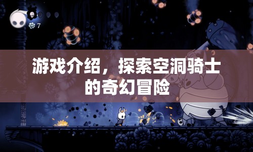 探索奇幻世界，空洞騎士的冒險(xiǎn)之旅