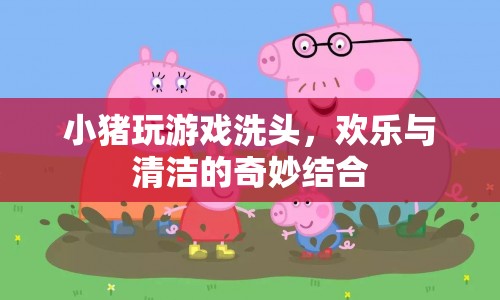 小豬游戲洗頭，歡樂與清潔的奇妙結(jié)合