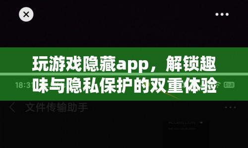 解鎖趣味與隱私保護(hù)，玩游戲隱藏app的雙重體驗(yàn)