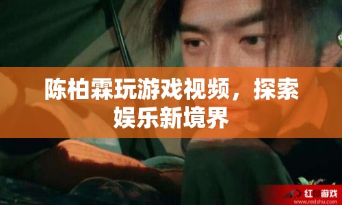 陳柏霖游戲視頻，探索娛樂新境界