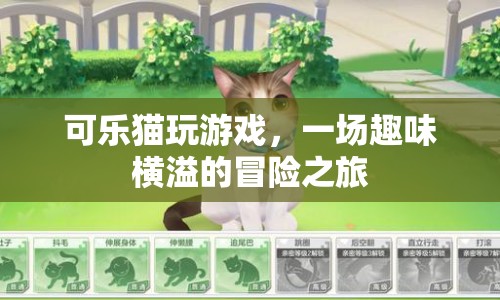 可樂貓玩游戲，趣味橫溢的冒險(xiǎn)之旅