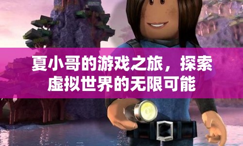 夏小哥的游戲之旅，探索虛擬世界的無限可能