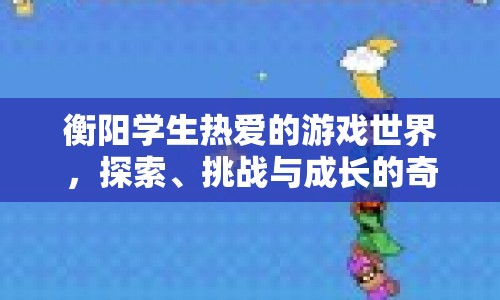衡陽(yáng)學(xué)生游戲世界，探索、挑戰(zhàn)與成長(zhǎng)的奇妙之旅
