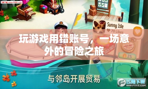 一場(chǎng)意外的冒險(xiǎn)之旅，游戲賬號(hào)的奇妙之旅