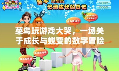 菜鳥(niǎo)的蛻變，一場(chǎng)數(shù)字冒險(xiǎn)中的成長(zhǎng)之旅