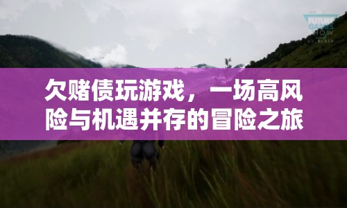 欠賭債玩游戲，高風(fēng)險(xiǎn)與機(jī)遇并存的冒險(xiǎn)之旅