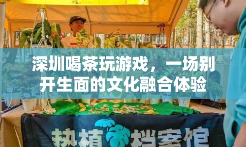 深圳，喝茶玩游戲，文化融合新體驗(yàn)