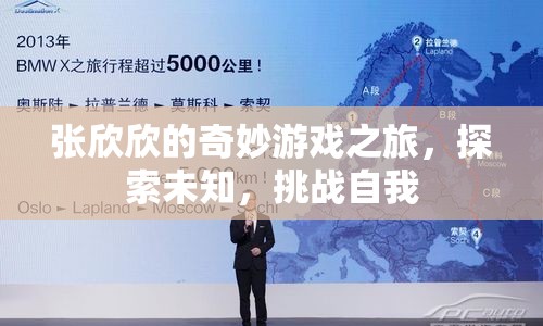 張欣欣的奇妙游戲之旅，探索未知，挑戰(zhàn)自我