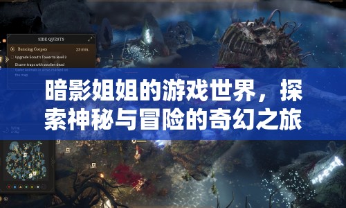 暗影姐姐的游戲世界，奇幻冒險(xiǎn)之旅