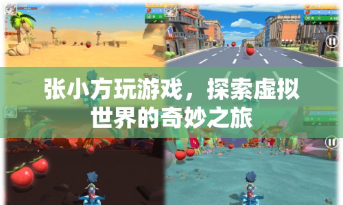 張小方，探索虛擬世界的奇妙之旅