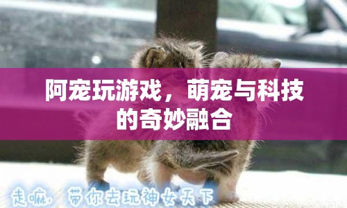 萌寵與科技的奇妙融合，阿寵玩游戲