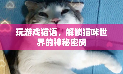 解鎖貓咪世界的神秘密碼，探索貓語(yǔ)游戲