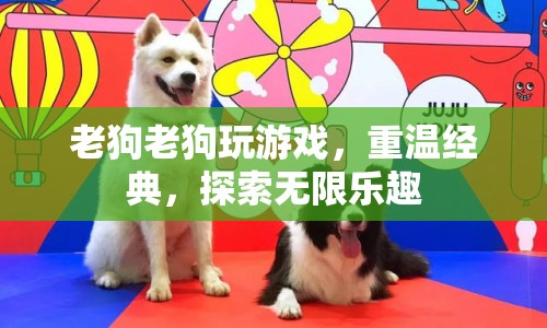 老狗重溫經典游戲，探索無限樂趣