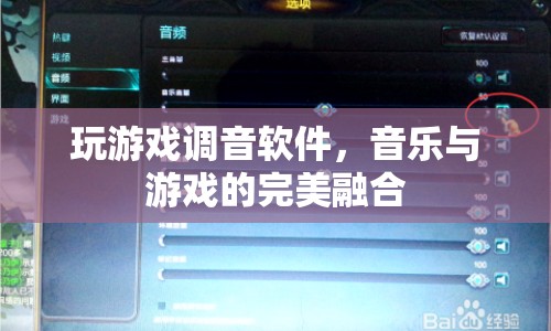 游戲調(diào)音軟件，音樂與游戲的完美融合