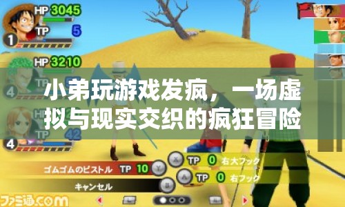 小弟游戲發(fā)瘋，虛擬與現(xiàn)實交織的瘋狂冒險