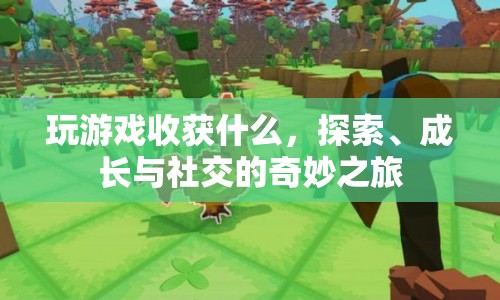 探索、成長與社交，玩游戲的奇妙之旅